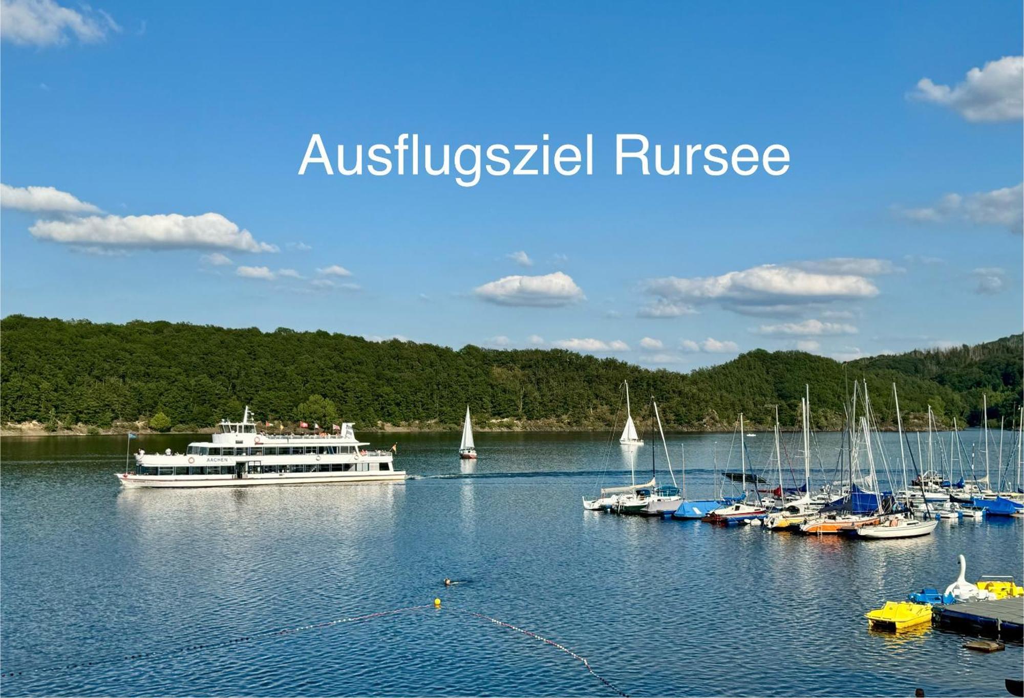 Studio - grosses Wohn-Schlafzimmer - Dachterrasse - Kamin - Küche - Hohes Venn - Monschau - Eifel - Hunde willkommen beim Hof Vierzehnender Exterior foto
