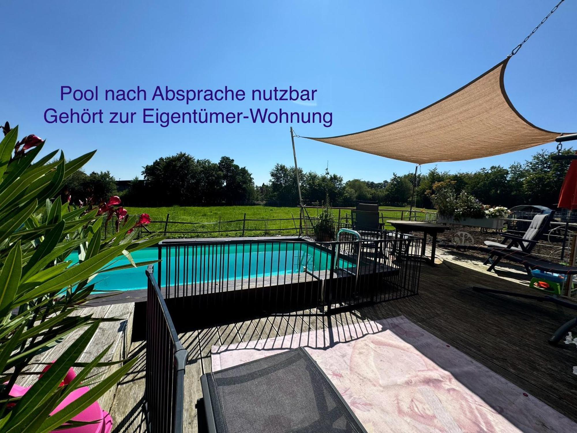 Studio - grosses Wohn-Schlafzimmer - Dachterrasse - Kamin - Küche - Hohes Venn - Monschau - Eifel - Hunde willkommen beim Hof Vierzehnender Exterior foto